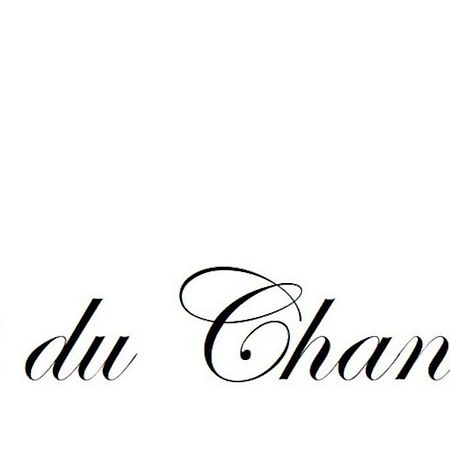Logis Du Chandelier Le Puy-en-Velay Kültér fotó